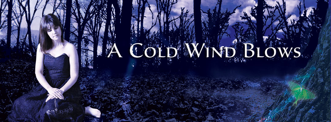 Debra Lyn - A Cold Wind Blows